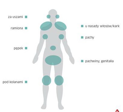 Miejsca najczęstszych ukąszeń